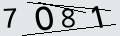 verifycode